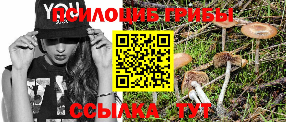Кыштым  Галлюциногенные грибы прущие грибы  Вход с VPN 