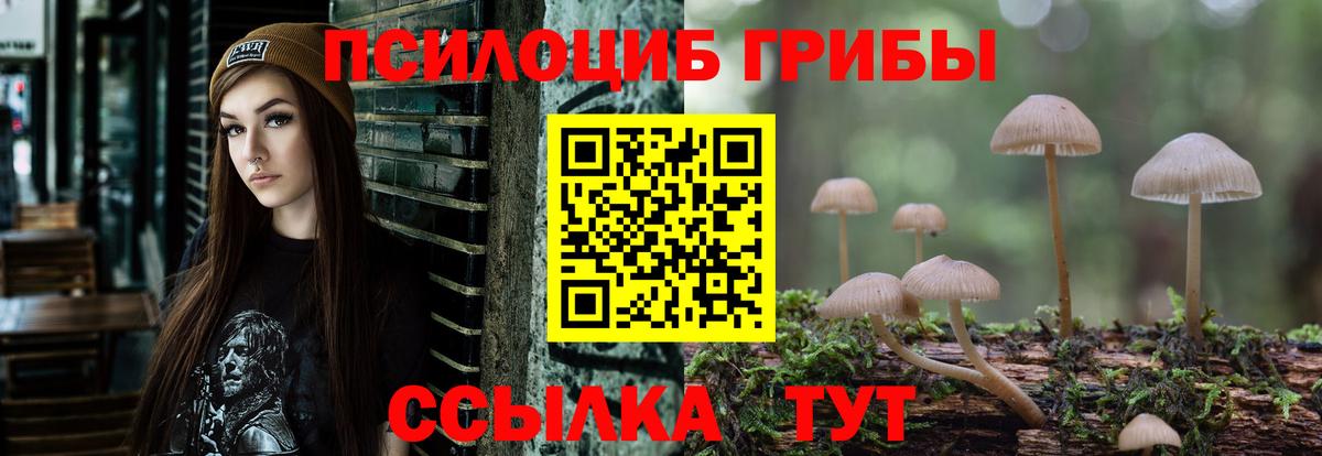 Галлюциногенные грибы GOLDEN TEACHER Кыштым