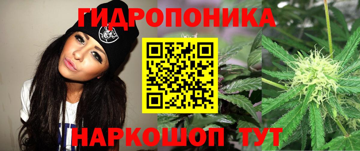 Кыштым  Канабис MAZAR  Канабис Ganja  Шишки марихуана гибрид  Вход с VPN 
